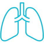 b (4).png__PID:8d7d3e31-4a25-4bbb-b383-228890790132